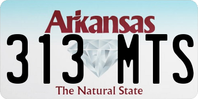 AR license plate 313MTS