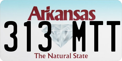 AR license plate 313MTT