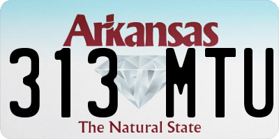 AR license plate 313MTU