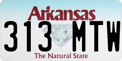 AR license plate 313MTW
