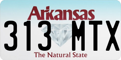 AR license plate 313MTX
