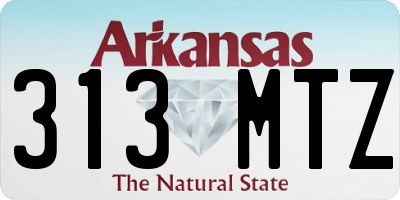 AR license plate 313MTZ