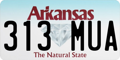 AR license plate 313MUA