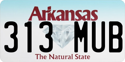 AR license plate 313MUB