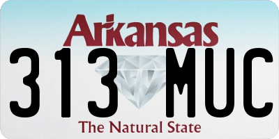 AR license plate 313MUC
