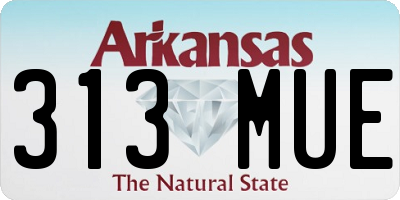 AR license plate 313MUE