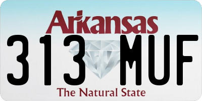 AR license plate 313MUF