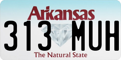 AR license plate 313MUH