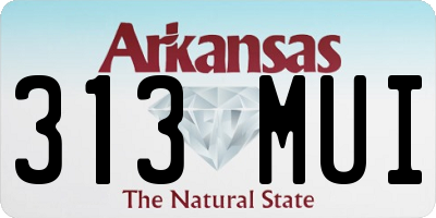 AR license plate 313MUI