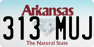 AR license plate 313MUJ