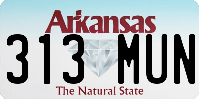 AR license plate 313MUN