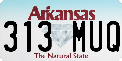 AR license plate 313MUQ