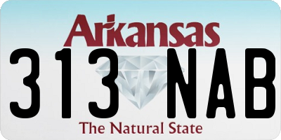 AR license plate 313NAB