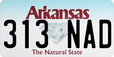 AR license plate 313NAD