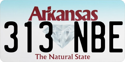 AR license plate 313NBE