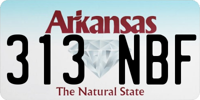 AR license plate 313NBF