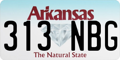 AR license plate 313NBG