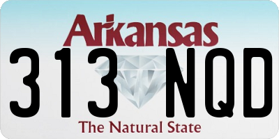 AR license plate 313NQD