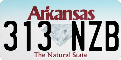 AR license plate 313NZB