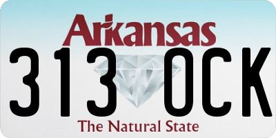 AR license plate 313OCK