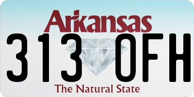 AR license plate 313OFH