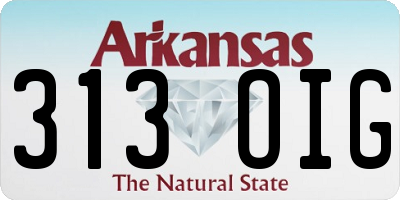 AR license plate 313OIG