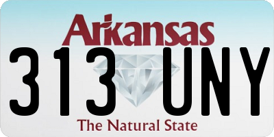AR license plate 313UNY