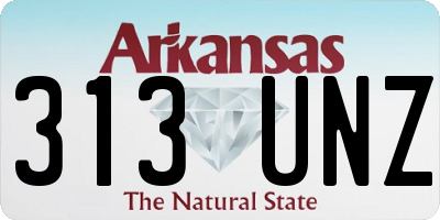 AR license plate 313UNZ