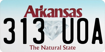 AR license plate 313UOA