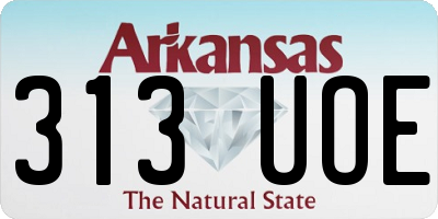 AR license plate 313UOE
