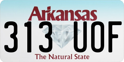 AR license plate 313UOF