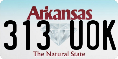 AR license plate 313UOK