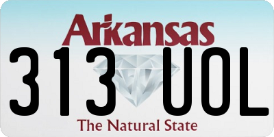 AR license plate 313UOL