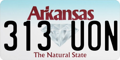AR license plate 313UON