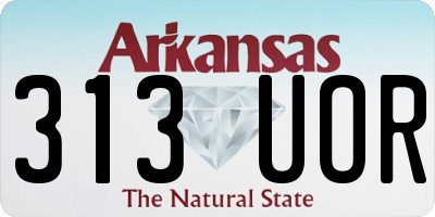 AR license plate 313UOR