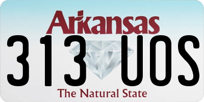 AR license plate 313UOS