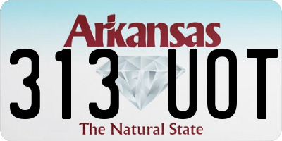 AR license plate 313UOT