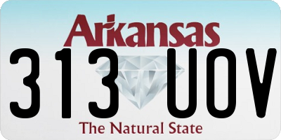 AR license plate 313UOV