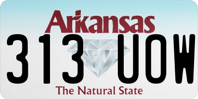 AR license plate 313UOW
