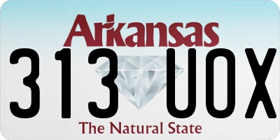 AR license plate 313UOX