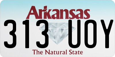 AR license plate 313UOY