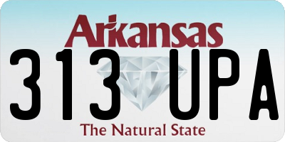 AR license plate 313UPA