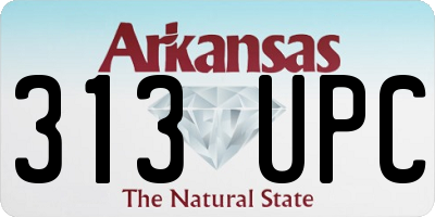 AR license plate 313UPC