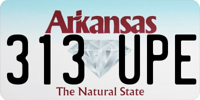 AR license plate 313UPE