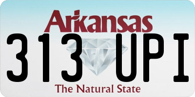 AR license plate 313UPI