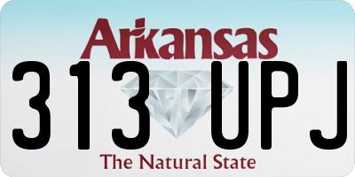 AR license plate 313UPJ