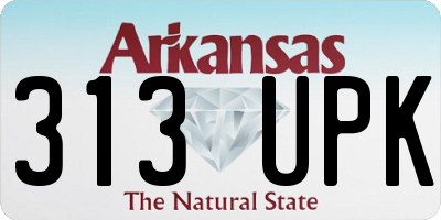 AR license plate 313UPK
