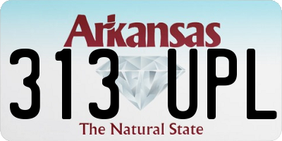 AR license plate 313UPL