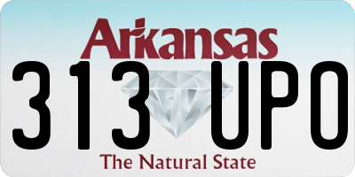 AR license plate 313UPO