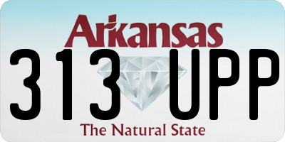 AR license plate 313UPP